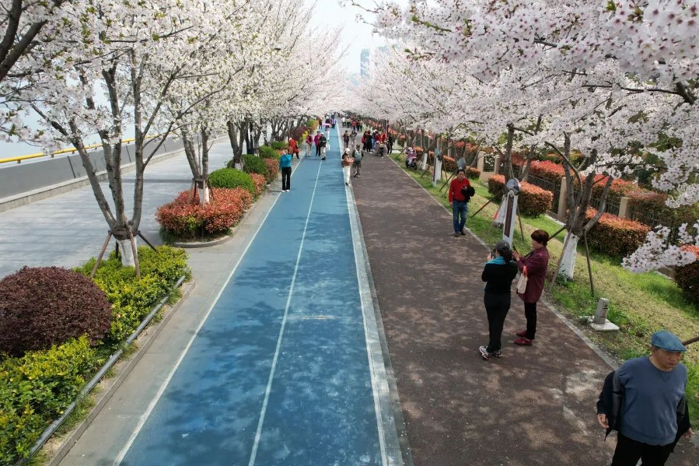 04-之江绿道.jpg